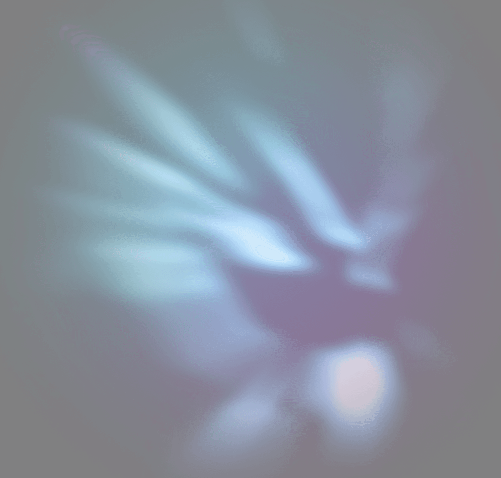 Affectionate Transition Agency